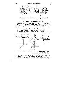 Рис. 33. Контурная диаграмма распределения электронной плотности молекул СО (а) и N2 (б)