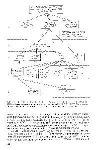 Рис. 5.4. Пример представления интеллектуальных знаний в виде семаниче-ского дерева декомпозиции исходной <a href="/info/63657">задачи синтеза</a> ХТС некоторого хлорор-ганического производства иа подзадачи <a href="/info/11666">синтеза</a> меньшей размерности