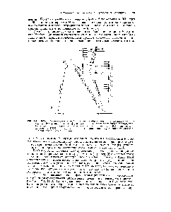 Рис. 4-10. <a href="/info/1732735">Видоизмененная диаграмма</a> Яблонского, изображающая происхождение замедленной флуоресценции)), фосфоресценции и <a href="/info/762239">триплет-триплетного поглощения</a>. <a href="/info/50464">Безызлучательные переходы</a> показаны волнистыми стрелками (ВК — <a href="/info/2929">внутренняя конверсия</a>, ИКК — <a href="/info/2981">интеркомбинационная конверсия</a>). Г1 обозначает <a href="/info/8840">метастабильное состояние</a> Яблонского.