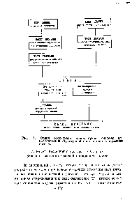 Рис. I. <a href="/info/1698996">Общая блок</a>-схема <a href="/info/1541569">компьютерной системы</a> для <a href="/info/154188">исследования структурной</a> организации глобулярных белков.