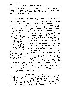 Рис. 14.14, Проекция кристаллической структуры НСгОл иллюстрирующая <a href="/info/24040">способ наложения</a> слоев. Штриховые линии обозначают связи О—Н—О.