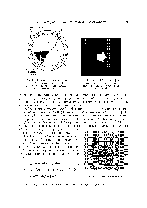 Рис. 10.3.4. <a href="/info/39673">Схема детектора</a> рассеяния нейтрино на электроне. Фотоумножители регистрируют черепковское <a href="/info/379413">излучение электрона</a> отдачи