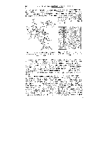 Рис. 102. Распределение электронной плотности в кристалле ИР