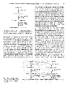 Рис. 12.22. <a href="/info/608699">Синтез поли</a>(3-гидроксимасляной кислоты) из ацетил-СоА. Справа от стрелок указаны ферменты, катализирующие соответствующие реакции.