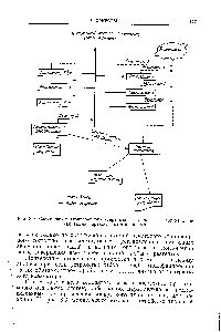 Рис. 3.9. <a href="/info/13988">Схема автоматизированного</a> <a href="/info/140647">непрерывного анализа</a> в потоке с несколькими параллельными каналами.