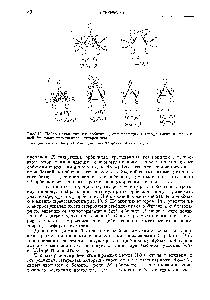 Рис. 13. Набор <a href="/info/1199">молекулярных орбиталей</a>, связывающих гетерофрагмент и этиленовый фрагмент трехчленного гетероцикла