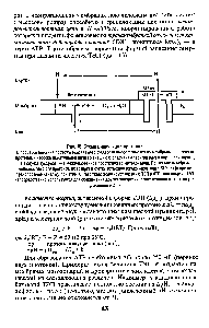 Рис. 15. <a href="/info/143200">Схема циркуляции</a> протонов В <a href="/info/584718">процессе дыхания</a> протоны окисляемого субстрата выбрасываются из мембраны с <a href="/info/805072">помощью протонных</a> насосов <a href="/info/99457">дыхательной цепи</a> во <a href="/info/5991">внешнюю среду</a> (или периплазму) в случае прокариот, а в случае эукариот — в <a href="/info/101022">межмембранное пространство</a> митохондрий. Поскольку мембрана непроницаема для протонов, их возврат в клетку возможен только <a href="/info/99989">через канал</a> АТРазы (и <a href="/info/1735606">другие транспортные</a> каналы), при этом АТРаза трансформирует энергию ТЭП в АТР (или энергия ТЭП <a href="/info/1769485">непосредственно используется</a> для обеспечения других эндэргонических процессов транспорта,
