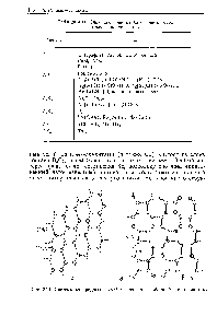 Рис. 3.27. <a href="/info/1663908">Системы водородных связей</a> в слоях а — найлон б — капролактам.