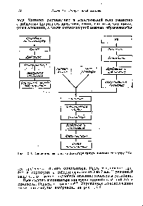 Рис. IX-5. Схема производства катализатора синтеза аммиака по методу TVA.