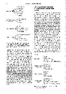 Рис. 3-12. Каждая первичная биомолекула, используемая в качестве <a href="/info/100881">строительного блока</a>, играет <a href="/info/630152">также роль</a> иредшественника в биосинтезе многих <a href="/info/1912188">биомолекул других</a> типов.