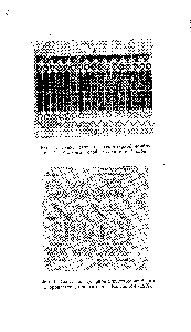 Фиг. 42. Схема <a href="/info/293065">молекулярной структуры мембраны</a> хлоропластов, предложенная Кальвином (1959).