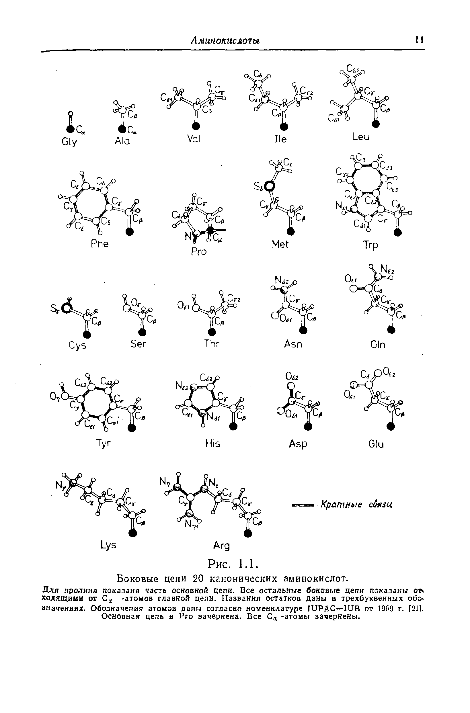 Боковые цепи 20 канонических аминокислот.