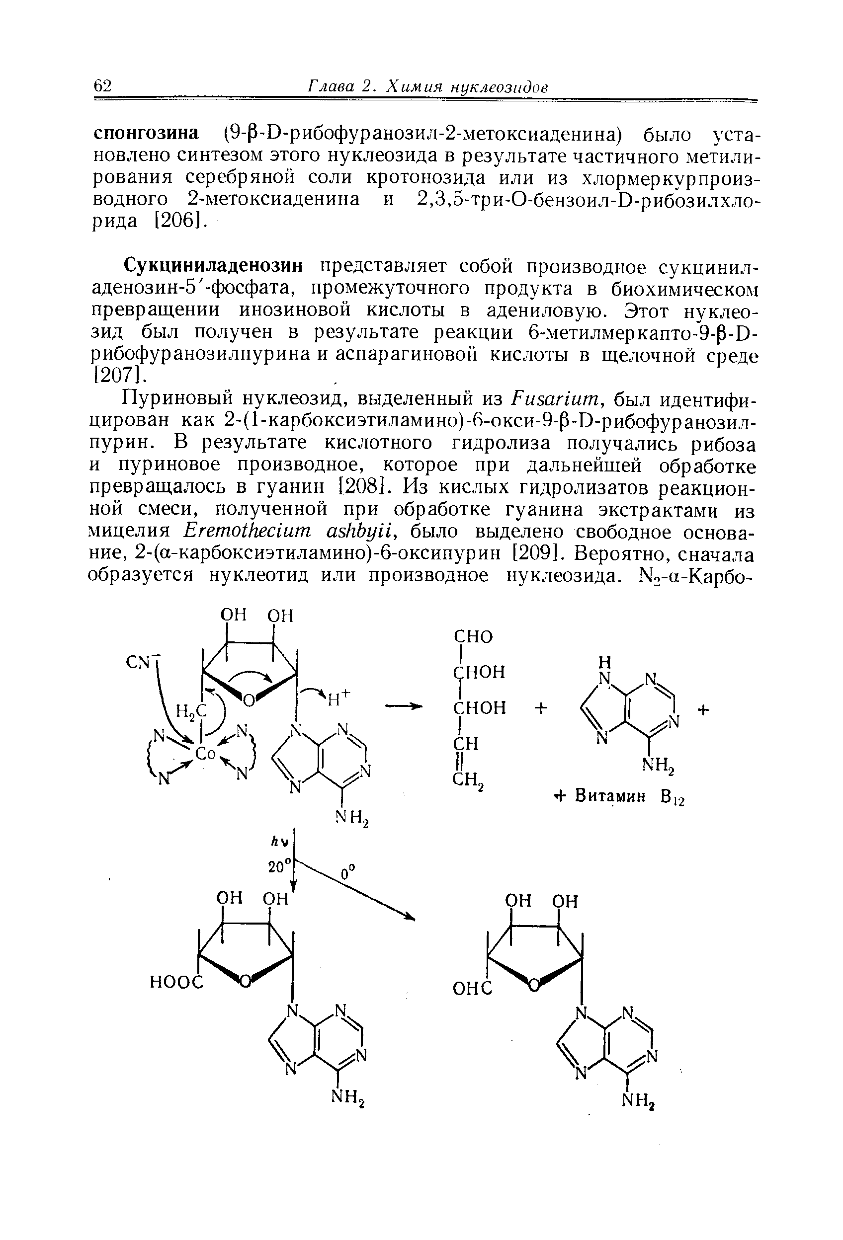 Сукциниладенозин представляет собой производное сукцинил-аденозин-5 -фосфата, промежуточного продукта в биохимическом превращении инозиновой кислоты в адениловую. Этот нуклеозид был получен в результате реакции б-метилмеркапто-9- -D-рибофуранозилпурина и аспарагиновой кислоты в щелочной среде [207].