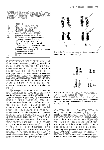 Таблица 2.5. Номенклатурные символы, дополнительные к тем, которые рекомендованы <a href="/info/1357151">Чикагской конференцией</a> (1966). (Парижская конференция, 1971 [468].)