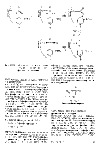 Рис. 12.15. <a href="/info/363371">Механизм каталитического действия</a> глицеральдегид-З-фосфат—дегидрогеназы.