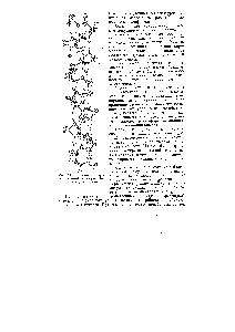 Рис. 63. Фрагмент а-спира-ли <a href="/info/19563">белковой молекулы</a> (по Паулингу и Корею)