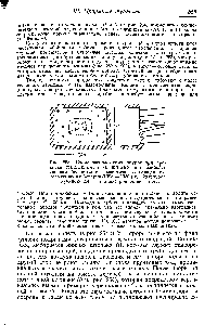 Рис. 253. <a href="/info/337514">Схема расположения</a> шпуров при проходке <a href="/info/1431323">подошвенной штольни</a> в наиболее твердом беленитовом известняке железнодорожного туннеля в Баварии (1928 — 1930 г.г.). 28 шпуров глубиною 2,4 м и диаметром около 45 мм