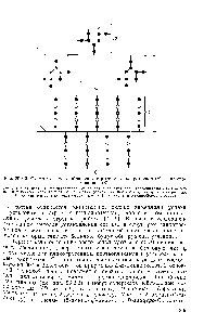 Рис. 26.3.2. <a href="/info/376711">Схематическое изображение</a> строения гликопротеинов (а) и протео-