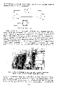 Рис. 75, <a href="/info/1761836">Кожухо-трубные</a> конверторы для окисления о-ксилола, охлаждаемые циркулирующим расплавом облей.