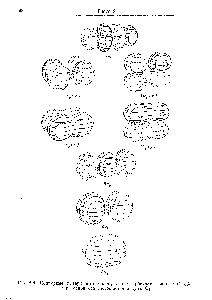 Рис. 6.4, Контурные поверхности <a href="/info/985665">молекулярных орбиталей валентной</a> <a href="/info/1407526">оболочки основного</a> состояния молекулы О2.