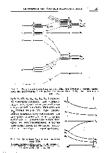 Рис. 72. Диаграмма Уолша для молекул типа ХНг.