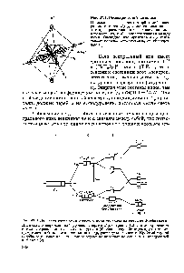 Рис. 27.2. Действие электростатического поля лигандов на энергию -орбиталей Пятикратно вырожденный уровень энергии -электронов (а) в октаэдрическом комплексе расщепляется на два подуровня (б). Квадратную бипирамиду (в) можно представить себе как искаженный октаэдр, растянутый по оси г. Крайний случай подобного искажения - это полное удаление лигандов по оси 2, т. е. квадратный комплекс (г)