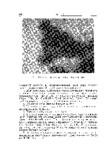 Рис. 11.1. <a href="/info/73091">Электронная микрофотография</a> ротавируса
