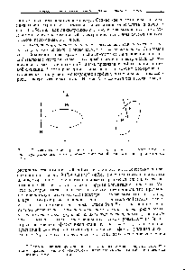 Рис. 9. 7. Взаимодействие ироекиий спина и орбитального углового момента лля двух <a href="/info/1841315">различныл</a> <a href="/info/339231">молекулярных ориентаций</a> относительно ири.юженного поля.