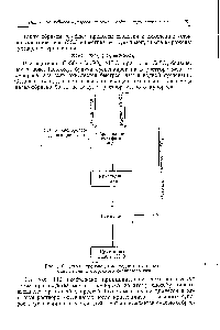 Рис. ПО. Схема <a href="/info/819258">производства медного купороса</a> из окиси меди и отбросного сернистого газа.