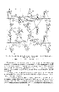 Рис. 23. <a href="/info/376711">Схематическое изображение</a> структуры триглицинсульфата.