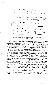 Фиг. 93. <a href="/info/3345">Механизм образования</a> АТФ, предложенный В. П. Скулачевым.
