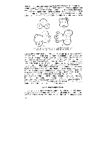 Рис. 47. Молекулярные модели молекул воды (а), этилена (б),дихлорэтана (в) и уксусной кислоты (г)