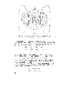 Рис. 107. Размостная <a href="/info/96409">диаграмма контурного</a> распределения зарядовых <a href="/info/366157">плотностей электронного облака</a> молекулы в нормальном состоянии