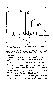 Рис. 5. Хроматограмма каменноугольной смолы, полученная с применением <a href="/info/39420">ввода пробы</a> без <a href="/info/1788665">деления потока газа-носителя</a> [Wright and Lee (1980)].