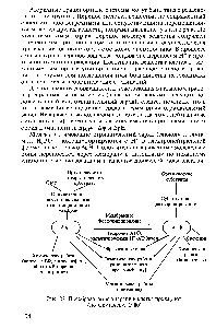 Рис. 27. <a href="/info/463804">Преобразование энергии</a> в <a href="/info/1409394">клетке прокариот</a> (по Скулачеву, 1980)