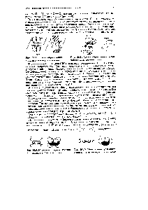 Рис. 29.10. <a href="/info/82245">Модели молекулы</a> ацетилена а — шариковая б — сегментовая.