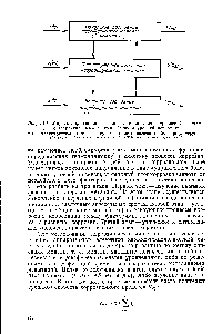 Рис. 10.1. Модель коррозионного процесса в виде <a href="/info/870532">многоуровневой системы</a> с <a href="/info/196164">вертикальным взаимодействием</a> уровней иерархии 