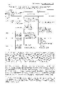 Таблица 8.5. <a href="/info/1872">Комплексные анионы</a>, <a href="/info/1530357">образующие водородные связи</a> в кристаллах оксокислот и кислых солей