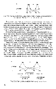 Рис. V.l. Схема, иллюстрирующая закон <a href="/info/1899348">единообразия гибридов первого поколения</a>. Все потомство — гетерозиготы