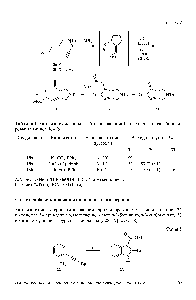 Таблица 1. Катализируемое никелем(О) и палладием(О) аннелирование/карбонили-рование аминов 18а, Ь