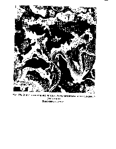 Рис. XIII. <a href="/info/150631">Эколого-геохимическая</a> карта Бованенковского месторождения