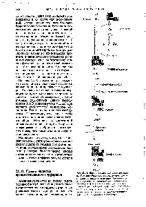 Рис. 22-11. <a href="/info/1350501">Биосинтез креатина</a> и фосфокреати-на. Креатин образуется из трех <a href="/info/516399">аминокислот-глицина</a>, аргинина и метионина. Аргинин служит донором <a href="/info/98993">гуанидиновой группы</a> (показана на красном фоне), а метионин-<a href="/info/629414">донором метильной группы</a> (серый фон). Этот <a href="/info/188015">метаболический путь</a> свидетельствует о разнообразной <a href="/info/627497">роли аминокислот</a> в качестве <a href="/info/1912188">предшественников других</a> азотсодержащих биомолекул.