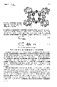 Рис. 5.6. <a href="/info/36062">Электронное строение молекулы</a> фталоцианина, полученное при помощи рентгеноструктурного анализа.