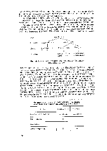 Рис. 84. Систематика прокариот, осуществляющих фотосинтез хлорофилльного типа