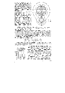 Рис. 63. Контурная <a href="/info/728997">диаграмма электронной плотности</a> молекулы