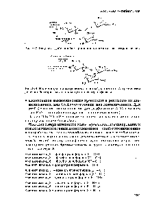 Рис. 9.7. <a href="/info/1518020">Результат действия</a> бактериальной <a href="/info/106373">канамицин</a>-фосфотрансферазы