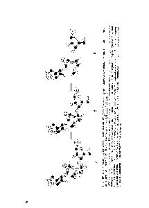 Рис. 107. <a href="/info/138226">Стереохимия реакции</a> транспептидации, представленная в виде шаро-стержневых моделей (без водородов) (предоставлено В. И. Лимом, Институт белка АН СССР, Пущино).