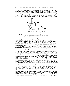Рис. 22. <a href="/info/4829">Строение молекулы</a> пенициллина (бензилпенициллина), <a href="/info/128877">определенное рентгеноструктурным анализом</a> натриевой соли.