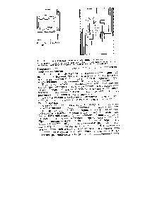 Рис. 19. Тарелка с инжекционными центробежными элементами 