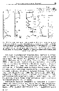 Рис. 5.9. Климатические кривые для позднего плейстоцена и голоцена, построенные на <a href="/info/481821">основании анализа</a> континентальных н <a href="/info/175545">морских отложений</a> (Roberts, 1984). Цифрами со <a href="/info/1451465">стрелками обозначен</a> <a href="/info/97141">возраст отложений</a> в тыс. лет, цифры в скобках означают, что <a href="/info/97141">возраст отложений</a> определен приблизительно. А. <a href="/info/1418238">Северо-атлантическая</a> океаническая земная кора V 28—14 Б. Озеро Клир-Лейк, Калифорния В. Гранд-Г1иль, Франция Г. <a href="/info/1418238">Северо-атлантическая</a> океаническая